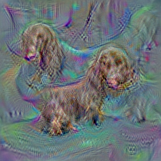 n02102318